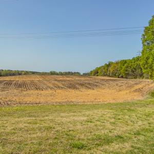 Photo #48 of 17643 Efird Road, Albemarle, NC 71.5 acres