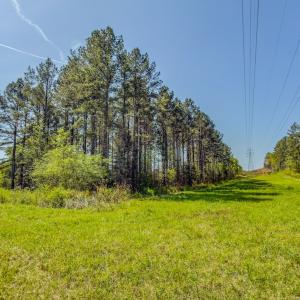 Photo #49 of 17643 Efird Road, Albemarle, NC 71.5 acres