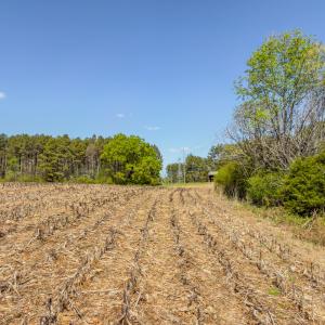 Photo #52 of 17643 Efird Road, Albemarle, NC 71.5 acres