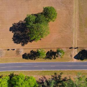 Photo #10 of 889 Spann Road, Trenton, NC 8.9 acres