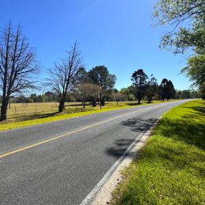 Photo #11 of 889 Spann Road, Trenton, NC 8.9 acres