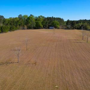 Photo #14 of 889 Spann Road, Trenton, NC 8.9 acres