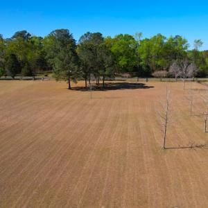 Photo #15 of 889 Spann Road, Trenton, NC 8.9 acres