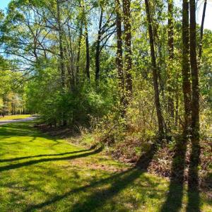 Photo #16 of 889 Spann Road, Trenton, NC 8.9 acres