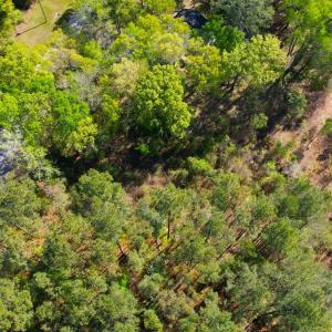 Photo #17 of 889 Spann Road, Trenton, NC 8.9 acres