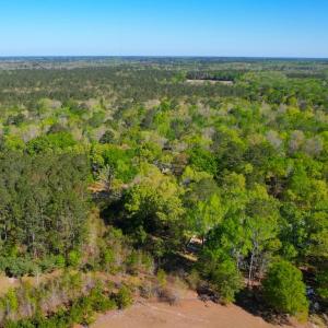 Photo #18 of 889 Spann Road, Trenton, NC 8.9 acres