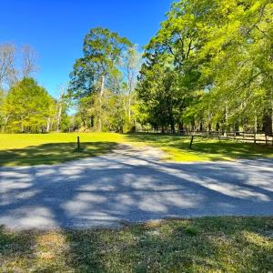 Photo #21 of 889 Spann Road, Trenton, NC 8.9 acres