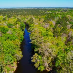 Photo #22 of 889 Spann Road, Trenton, NC 8.9 acres