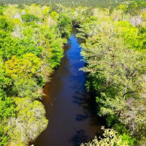 Photo #24 of 889 Spann Road, Trenton, NC 8.9 acres