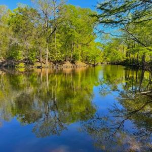 Photo #25 of 889 Spann Road, Trenton, NC 8.9 acres