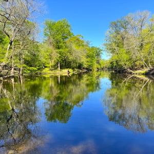 Photo #26 of 889 Spann Road, Trenton, NC 8.9 acres