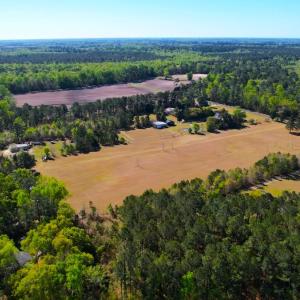 Photo #6 of 889 Spann Road, Trenton, NC 8.9 acres