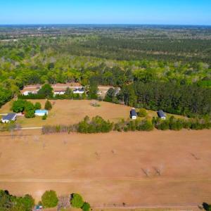 Photo #8 of 889 Spann Road, Trenton, NC 8.9 acres