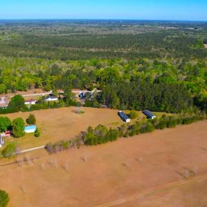 Photo #9 of 889 Spann Road, Trenton, NC 8.9 acres