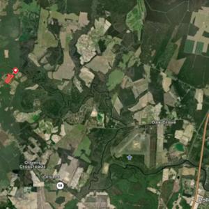 Photo #27 of 889 Spann Road, Trenton, NC 8.9 acres