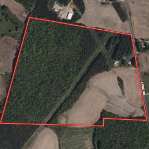 Photo #65 of 17643 Efird Road, Albemarle, NC 71.5 acres