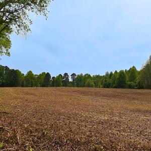 Photo #1 of Off Mamie Rd, Wilson, NC 18.7 acres