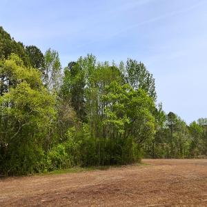 Photo #14 of Off Mamie Rd, Wilson, NC 18.7 acres