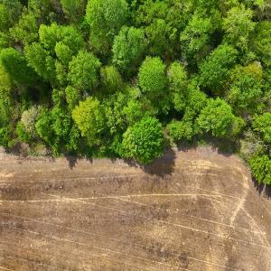 Photo #16 of Off Mamie Rd, Wilson, NC 18.7 acres