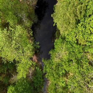 Photo #19 of Off Mamie Rd, Wilson, NC 18.7 acres