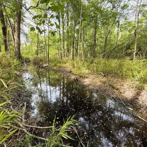 Photo #21 of Off Mamie Rd, Wilson, NC 18.7 acres