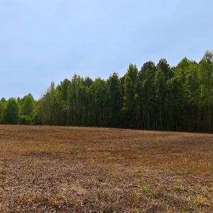 Photo #22 of Off Mamie Rd, Wilson, NC 18.7 acres