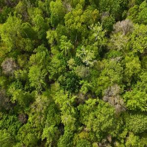 Photo #26 of Off Mamie Rd, Wilson, NC 18.7 acres