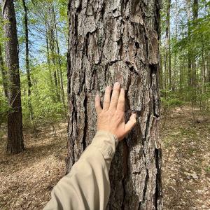 Photo #16 of 161 Greens Rd, Granite Falls, NC 1.0 acres