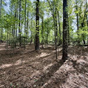 Photo #18 of 161 Greens Rd, Granite Falls, NC 1.0 acres