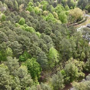 Photo #20 of 161 Greens Rd, Granite Falls, NC 1.0 acres