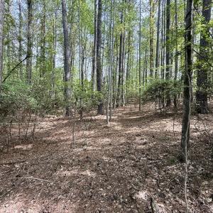 Photo #29 of 161 Greens Rd, Granite Falls, NC 1.0 acres