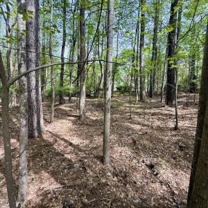 Photo #5 of 161 Greens Rd, Granite Falls, NC 1.0 acres