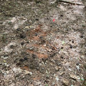 Photo #6 of 161 Greens Rd, Granite Falls, NC 1.0 acres