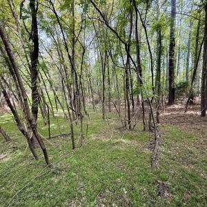 Photo #9 of 161 Greens Rd, Granite Falls, NC 1.0 acres