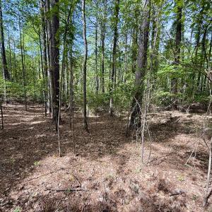 Photo #32 of 161 Greens Rd, Granite Falls, NC 1.0 acres