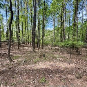 Photo #34 of 161 Greens Rd, Granite Falls, NC 1.0 acres