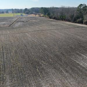 Photo #10 of Off of NC 131 Hwy, Bladenboro, NC 9.9 acres