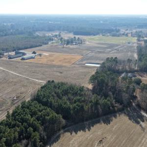 Photo #18 of Off of NC 131 Hwy, Bladenboro, NC 9.9 acres
