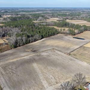 Photo #3 of Off of NC 131 Hwy, Bladenboro, NC 9.9 acres