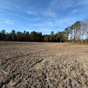Photo #8 of Off of NC 131 Hwy, Bladenboro, NC 9.9 acres