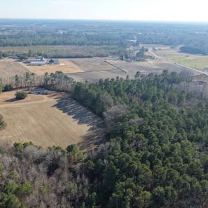Photo #22 of Off of NC 131 Hwy, Bladenboro, NC 9.9 acres