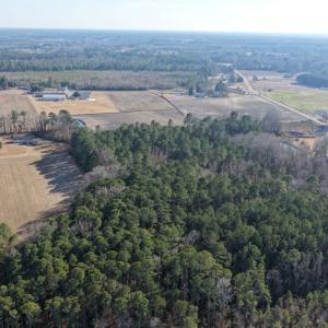 Photo #26 of Off of NC 131 Hwy, Bladenboro, NC 9.9 acres