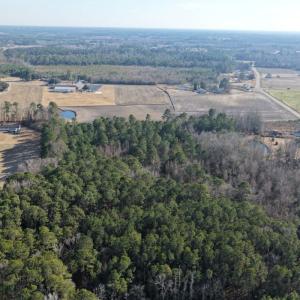 Photo #27 of Off of NC 131 Hwy, Bladenboro, NC 9.9 acres