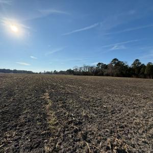 Photo #42 of Off of NC 131 Hwy, Bladenboro, NC 9.9 acres