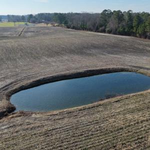 Photo #49 of Off of NC 131 Hwy, Bladenboro, NC 9.9 acres