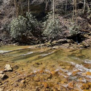 Photo #1 of Off of Greens Chapel Lane, Dungannon, VA 60.5 acres