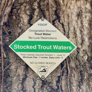 Photo #12 of Off of Greens Chapel Lane, Dungannon, VA 60.5 acres