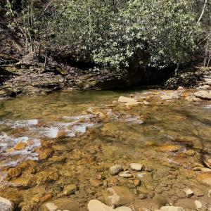 Photo #13 of Off of Greens Chapel Lane, Dungannon, VA 60.5 acres