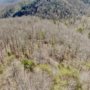 Photo #14 of Off of Greens Chapel Lane, Dungannon, VA 60.5 acres