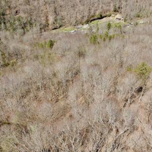 Photo #15 of Off of Greens Chapel Lane, Dungannon, VA 60.5 acres